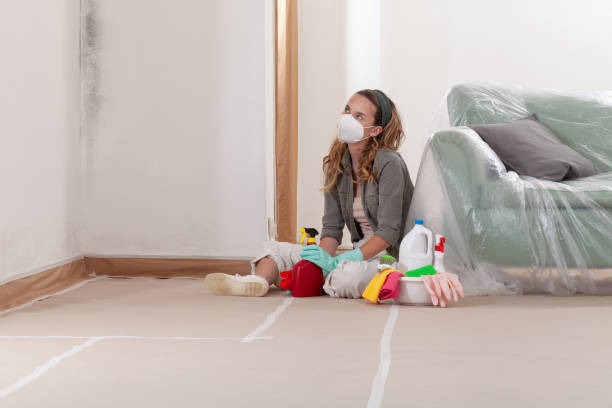 Reliable Basement Mold Remediation contractor in Shakopee, MN by Mold Remediation HQ